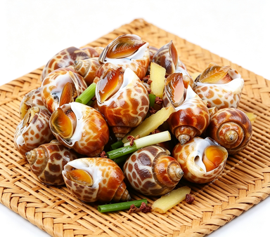 Fresh Gourmet Sea Snails