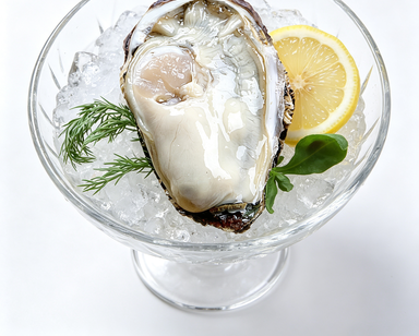 Fresh Oysters on Ice