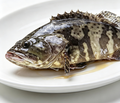 Fresh Whole Grouper